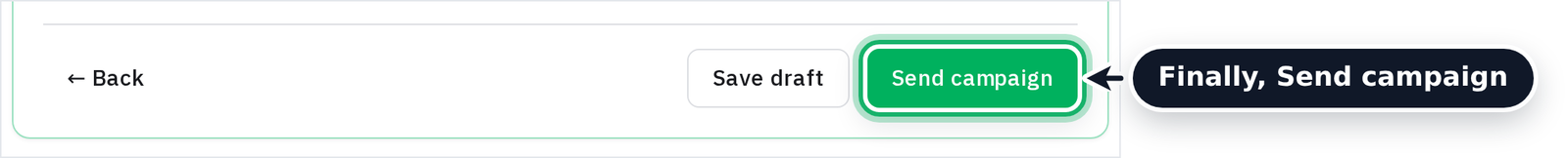 The campaign summary and the Send campaign button